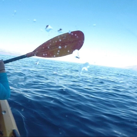 Meet your Posher, Bremmie Vintage - Picture 1 of 8